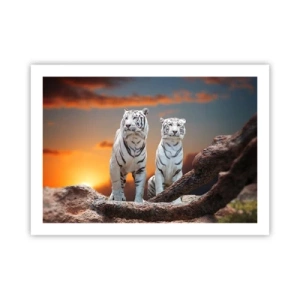 Plakát - Úplně jako v Narnii - 70x50 cm