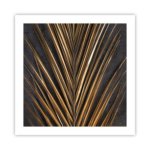 Plakát - Zlato tropů - 50x50 cm