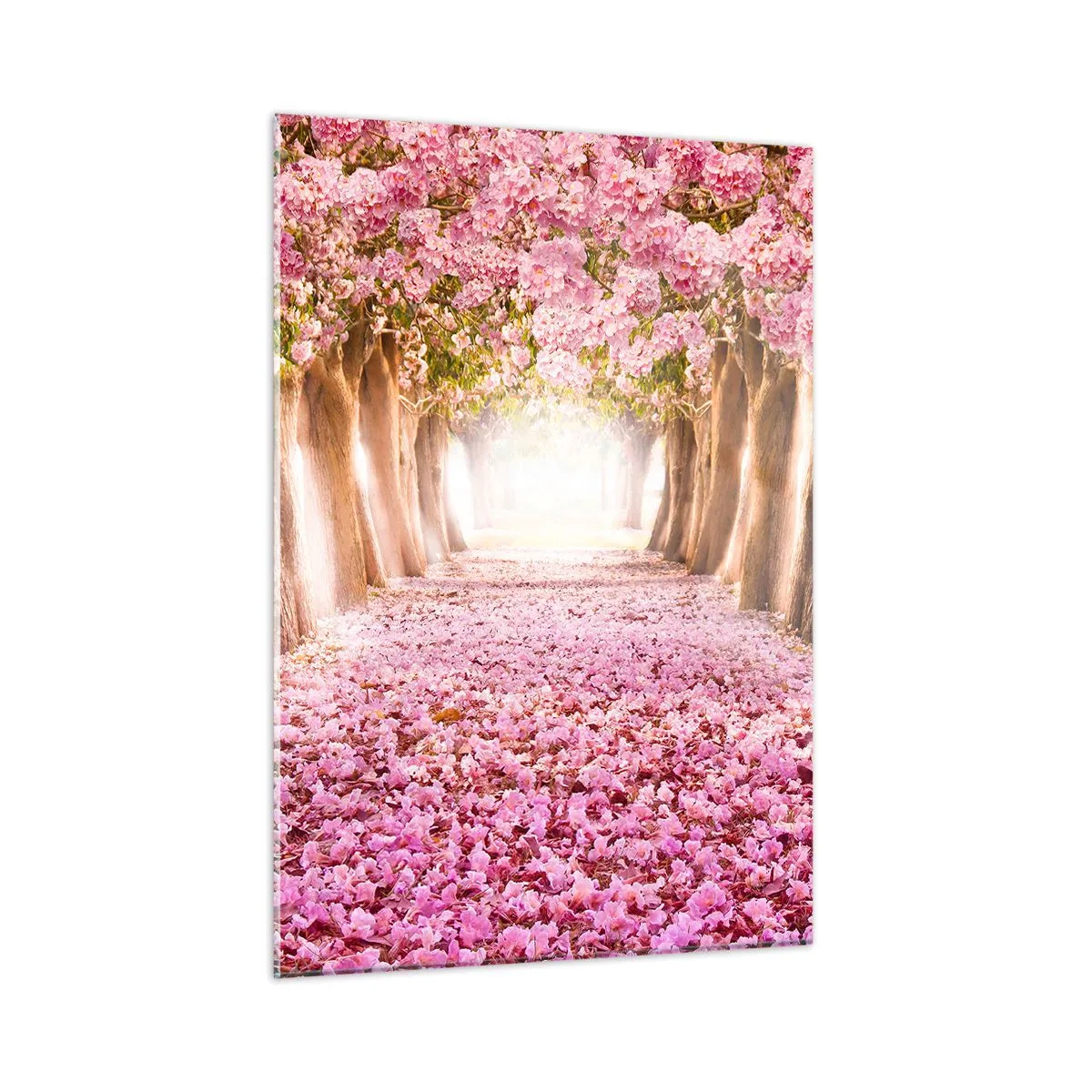 Obraz na skle - Cesta do ráje - 50x70 cm