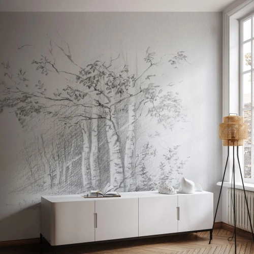 Fototapeta Premium Canvas - Světlo březového lesa - Les, Bříza, Stromy - 350x256 cm