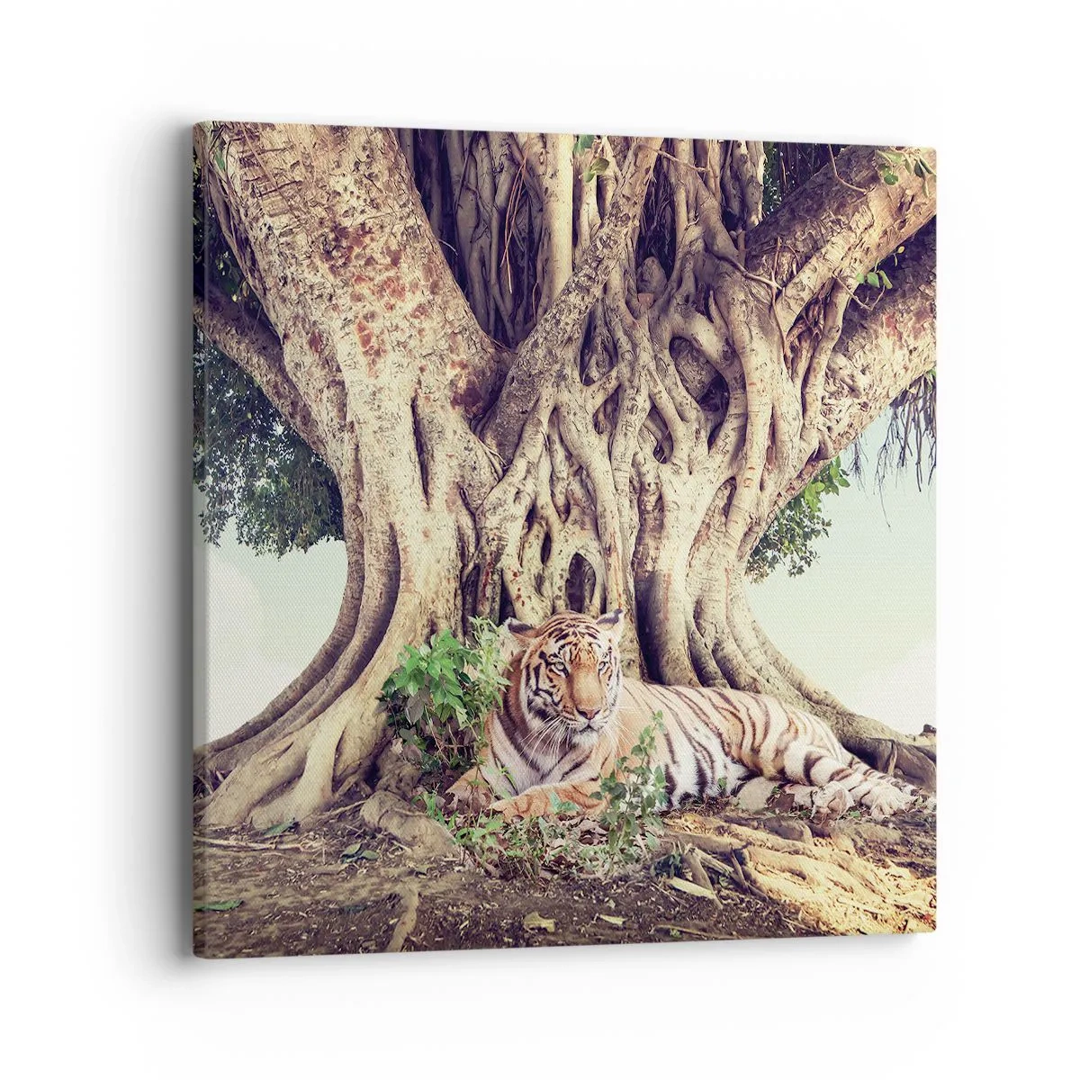 Obraz na plátně - Pohled z knihy Mojžíšovy - 40x40 cm