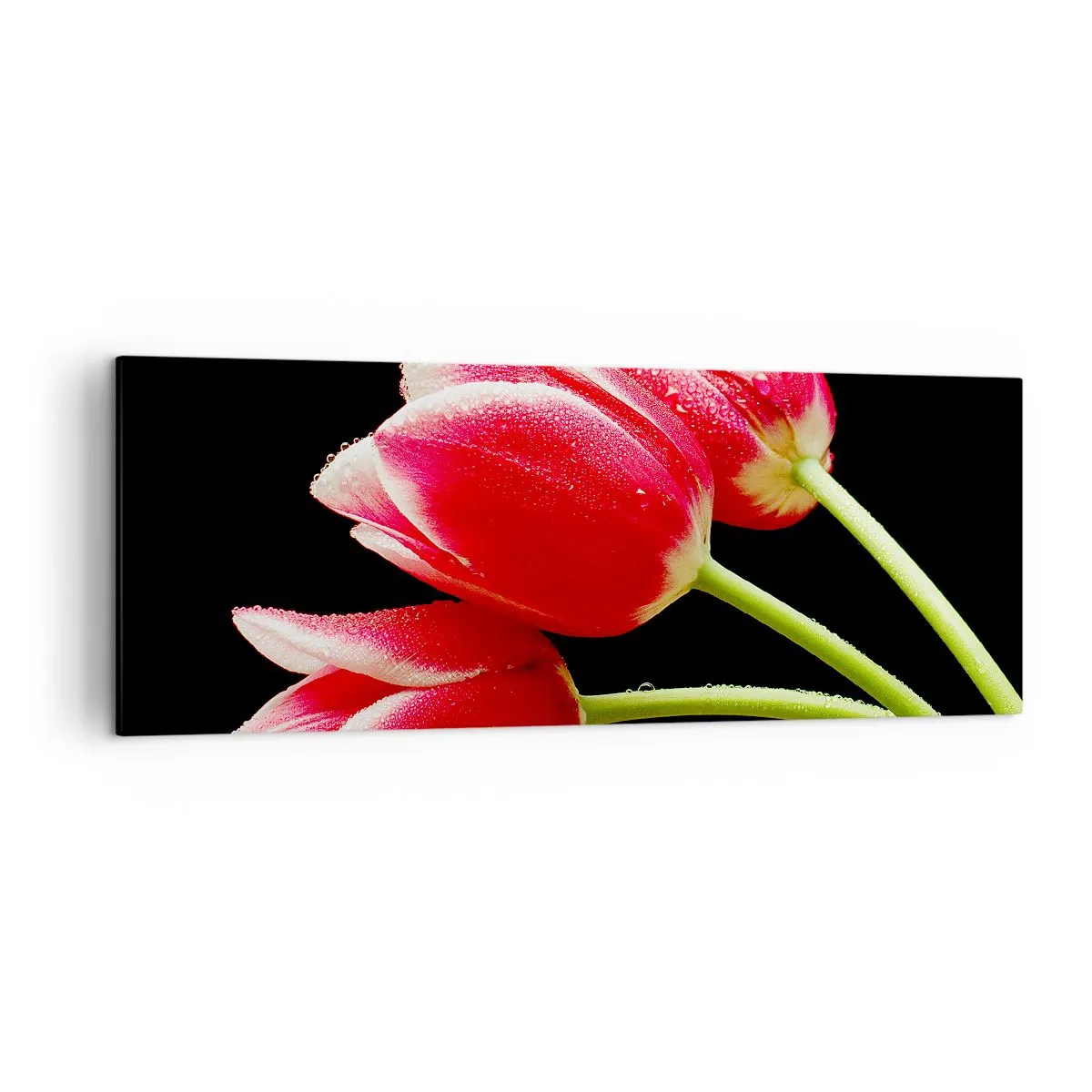 Obraz na plátně - Slib čisté lásky - 140x50 cm