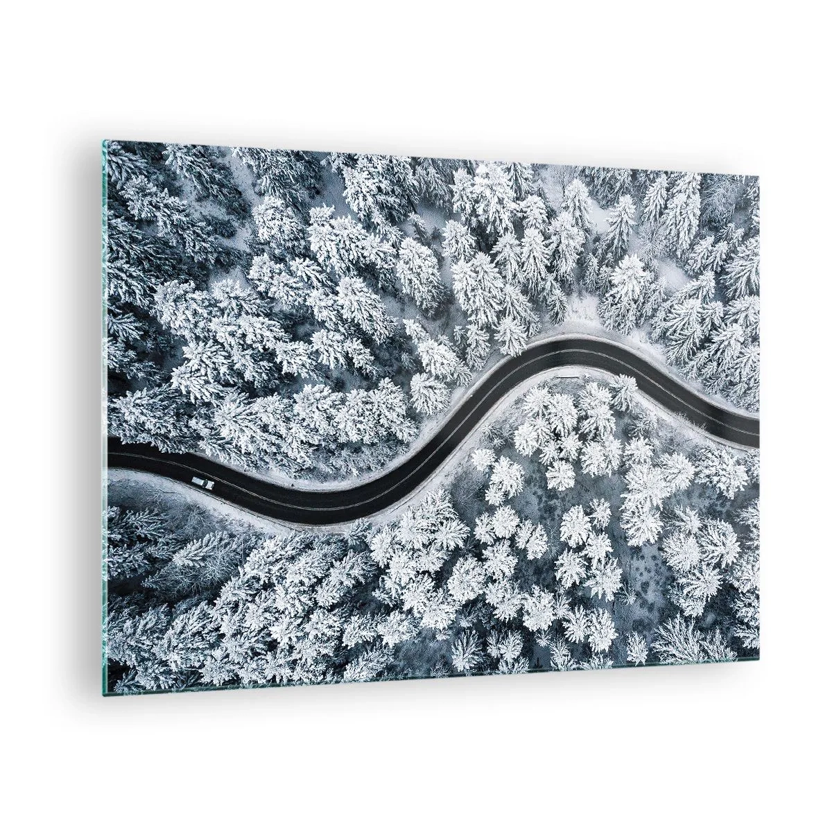 Obraz na skle - Zimním lesem - 70x50 cm