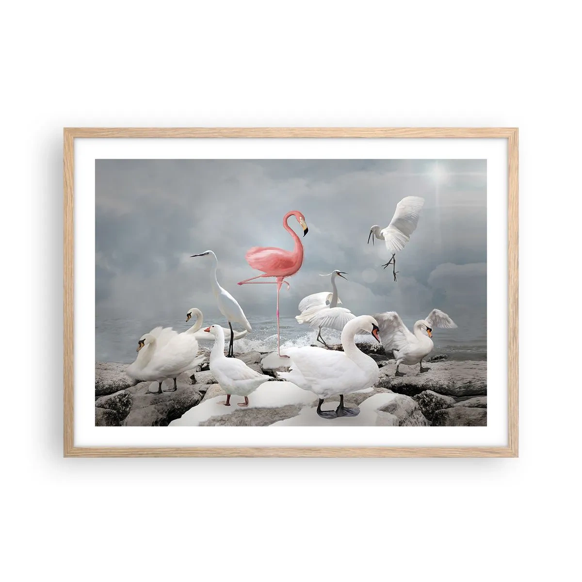 Plakát v rámu světlý dub - Kde jsem se tu vzal? - 70x50 cm