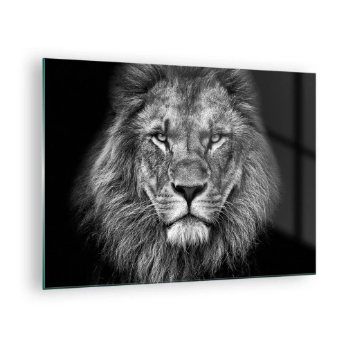 Obraz na skle - Portrét lva v černé a bílé s majestátní hřívou - 70x50cm - V korunovačním oděvu - Moderní nástěnná dekorace do obývacího pokoje a ložnice ARTTOR