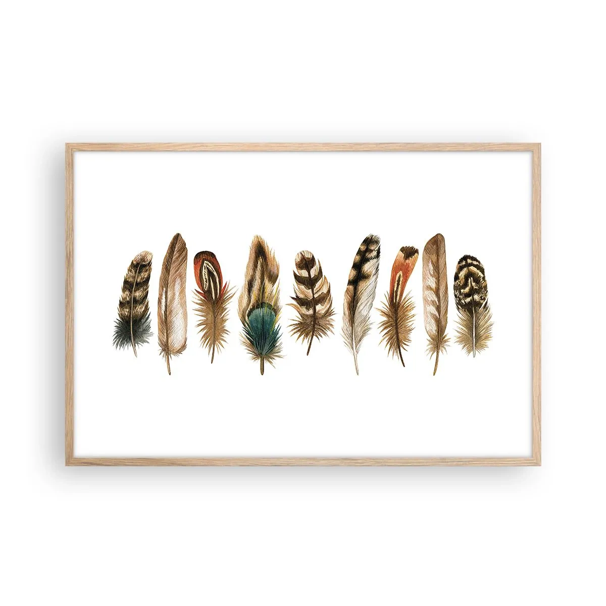 Plakát v rámu světlý dub - Opeřená variace - 91x61 cm