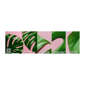 Vzor Fototapety Premium Canvas - Zelené rendez-vous - Monstera, Zelený list, Exotická rostlina - 100x30 cm