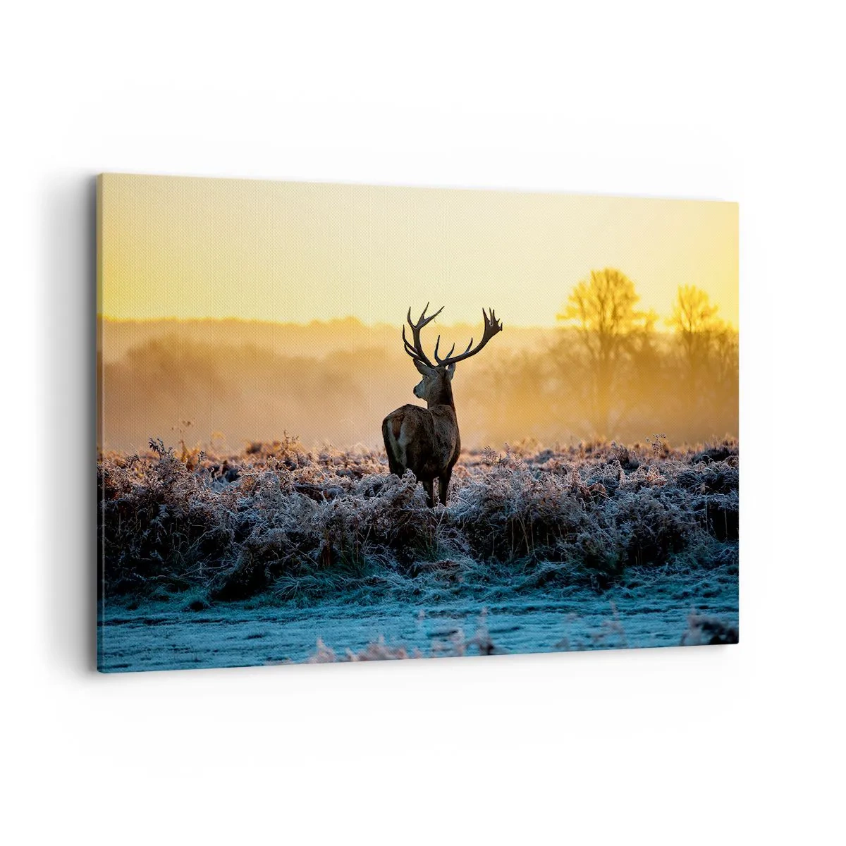 Obraz na plátně - Korunován na svém panství - 120x80 cm