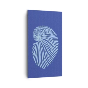 Obraz na plátně - Zrození mušle - 45x80 cm