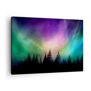 Obraz na plátně - Polární záře nad lesem s hvězdnou oblohou - 70x50cm - Bílá magie - Moderní nástěnná dekorace do obývacího pokoje a ložnice ARTTOR