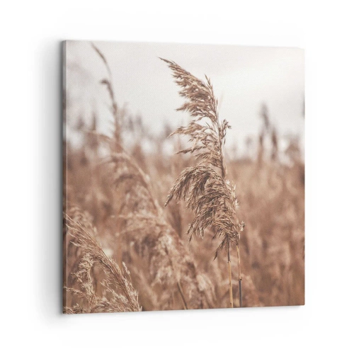 Obraz na plátně - Na polích už je podzim - 60x60 cm