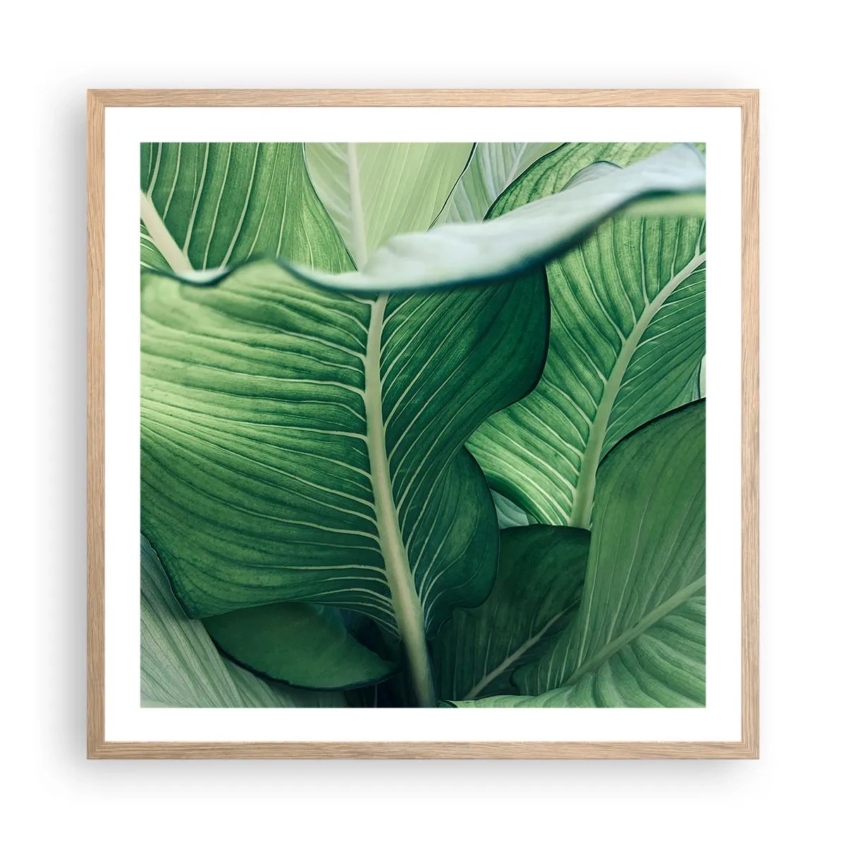 Plakát v rámu světlý dub - Intenzivně zelený život - 60x60 cm