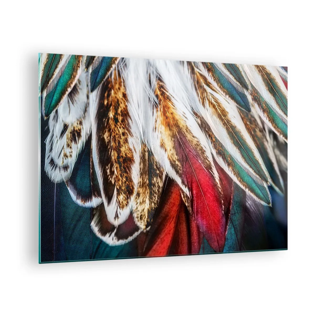 Obraz na skle - Barevné peří v bohaté paletě barev s výraznou texturou - 70x50cm - Tajemství letu - Moderní nástěnná dekorace do obývacího pokoje a ložnice ARTTOR