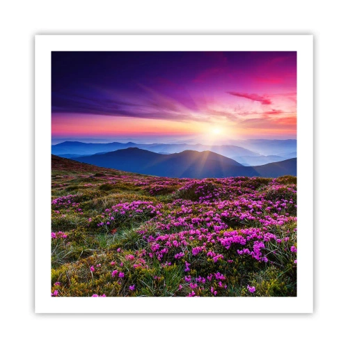 Plakát - Zavoněly svěží pupeny bylinek z obilných polí - 60x60 cm