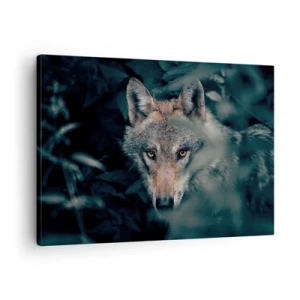 Obraz na plátně - Vlk ve svém přirozeném prostředí, vyhlížející z hlubin lesa. - 70x50cm - Predátor - Moderní nástěnná dekorace do obývacího pokoje a ložnice ARTTOR