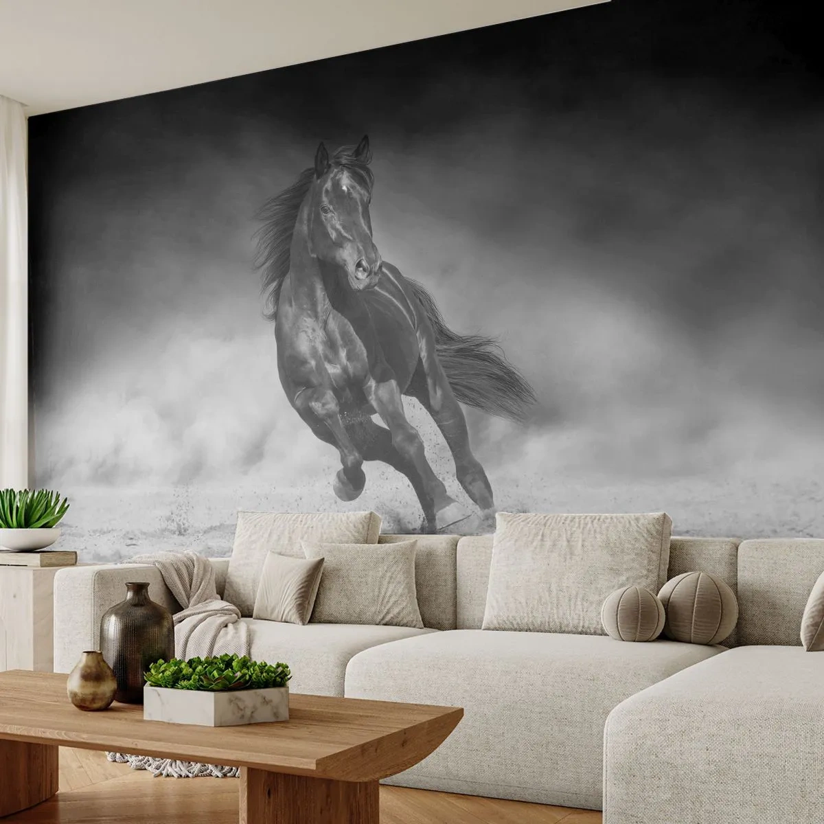 Fototapeta Premium Sand - Hodné samotného emíra - Kůň, Zvířata, Příroda - 100x70 cm