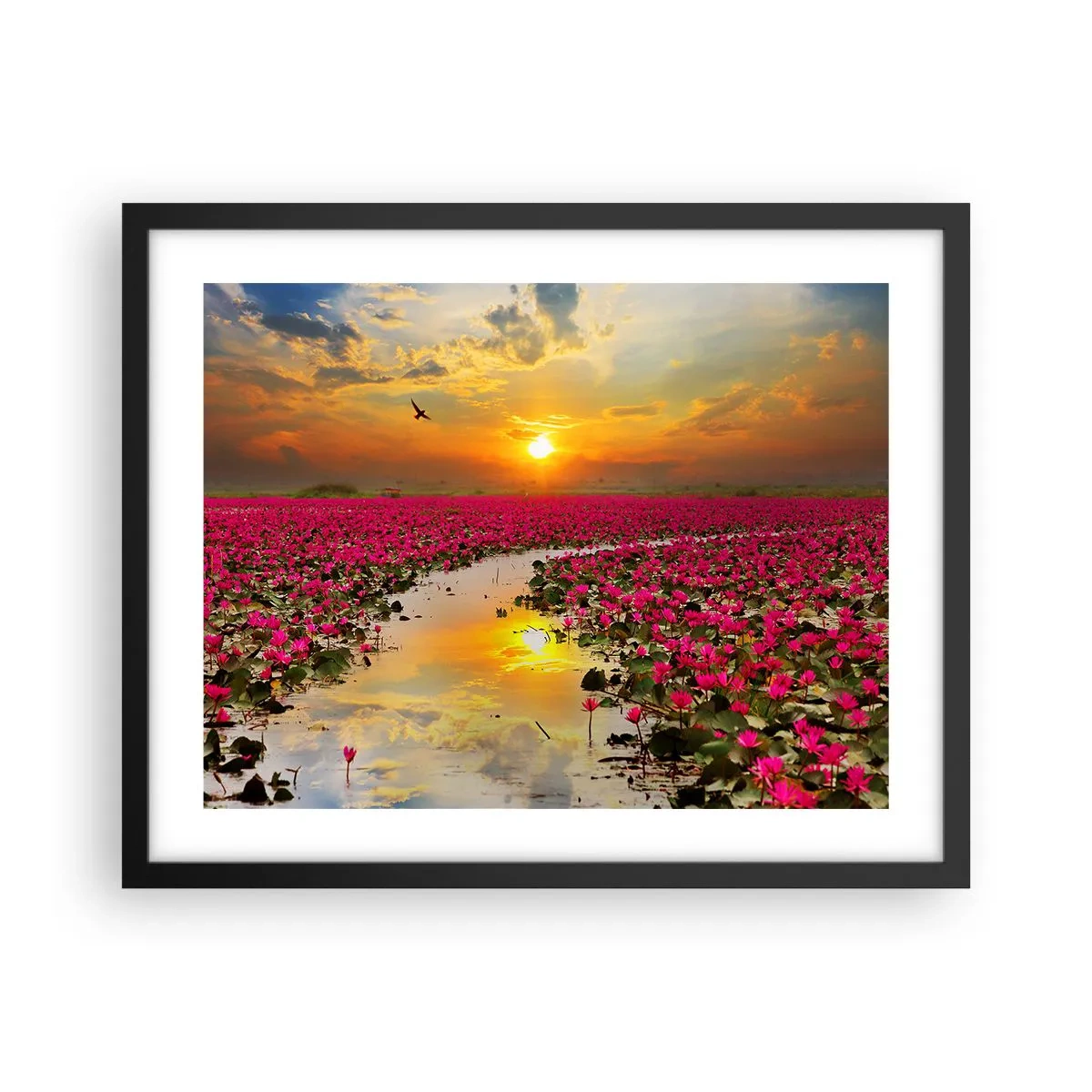 Plakát v černém rámu - Tajemný život jezera - 50x40 cm