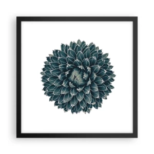 Plakát v černém rámu - Hvězda pouště - 40x40 cm