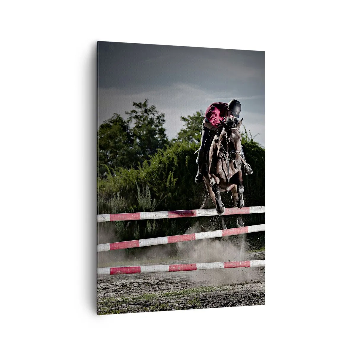 Obraz na plátně - Společně pro vítězství - 70x100 cm