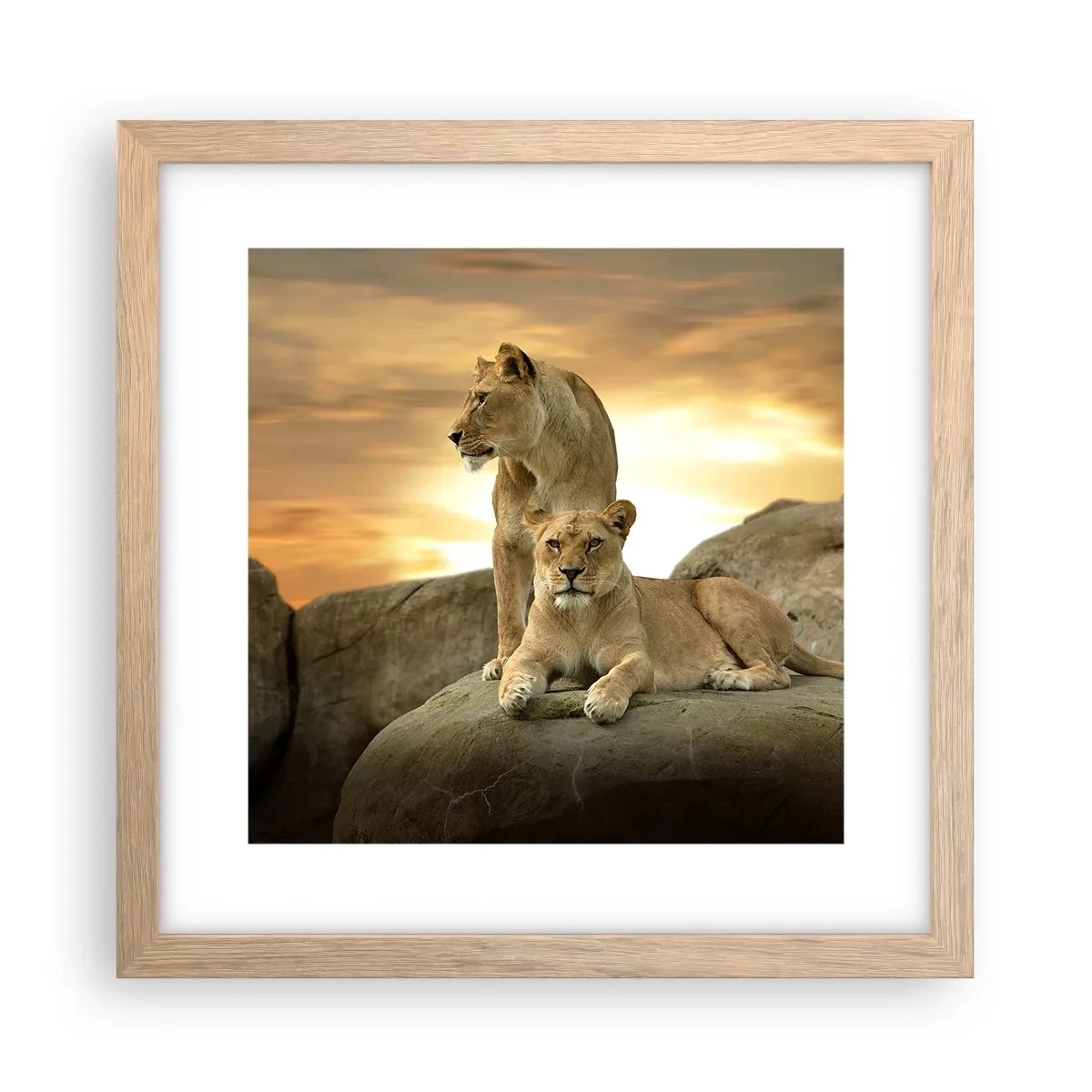 Plakát v rámu světlý dub - Královský majestát - 30x30 cm