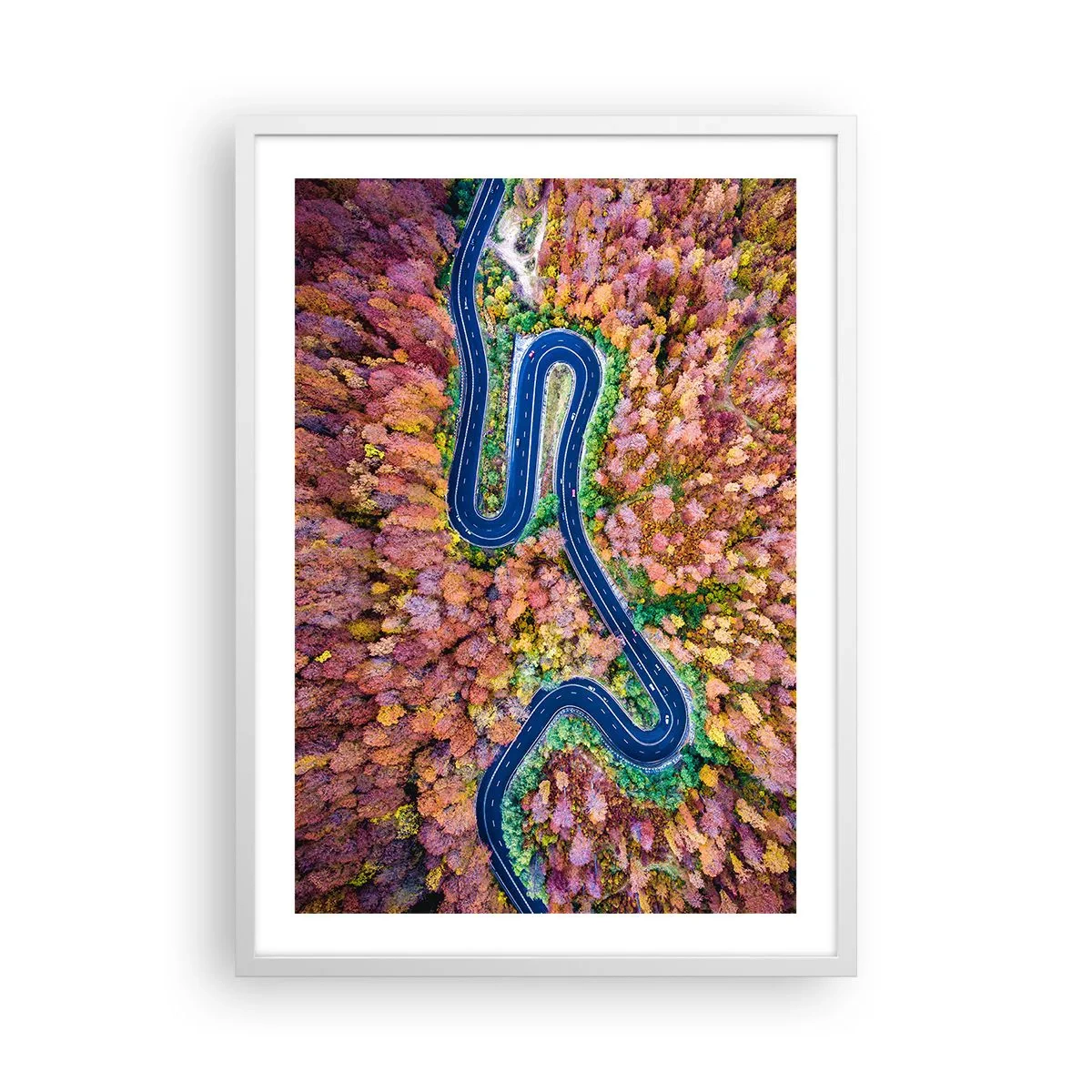 Plakát v bílém rámu - Klikatá cesta lesem - 50x70 cm