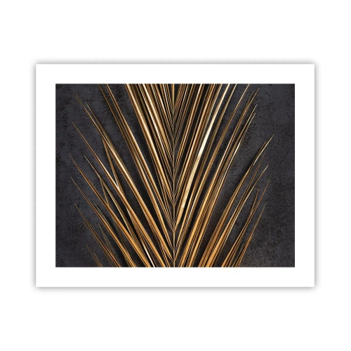 Plakát - Zlato tropů - 50x40 cm