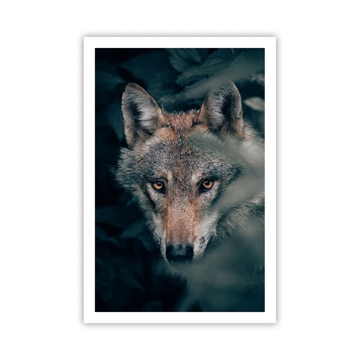 Plakát - Predátor - 61x91 cm