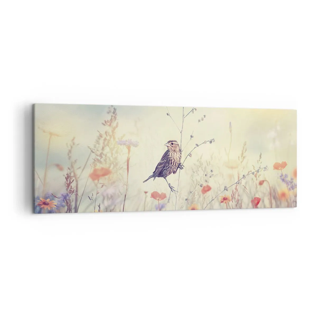 Obraz na plátně - Portrét ptáka s loukou v pozadí - 140x50 cm