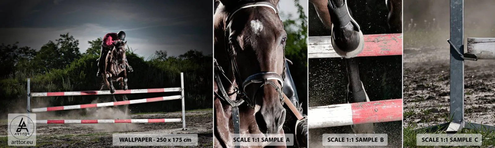 Vzor Fototapety Samolepicí Deluxe Sticker - Společně pro vítězství - Zvířata, Kůň, Sport - 100x30 cm