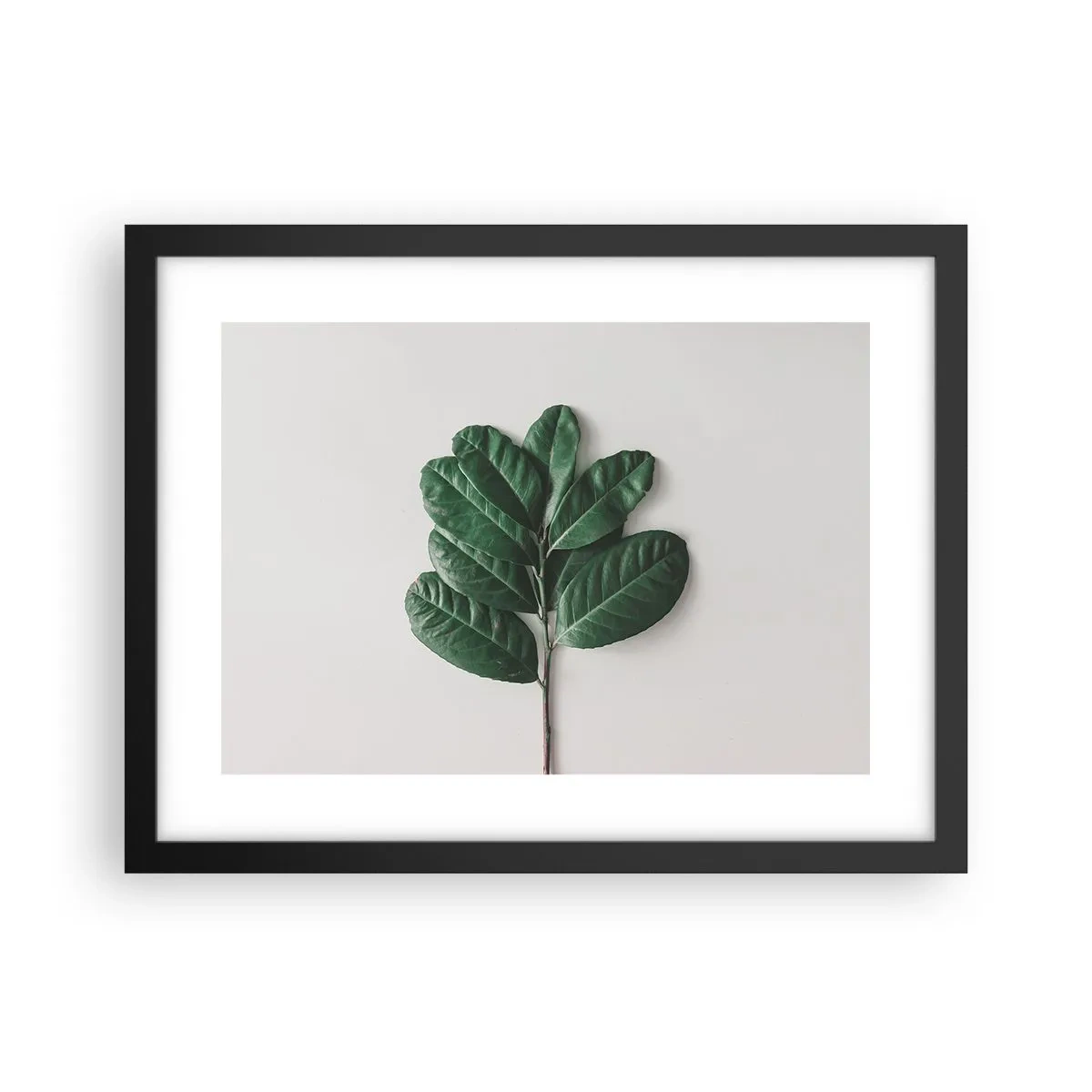 Plakát v černém rámu - Kresba samotné přírody - 40x30 cm