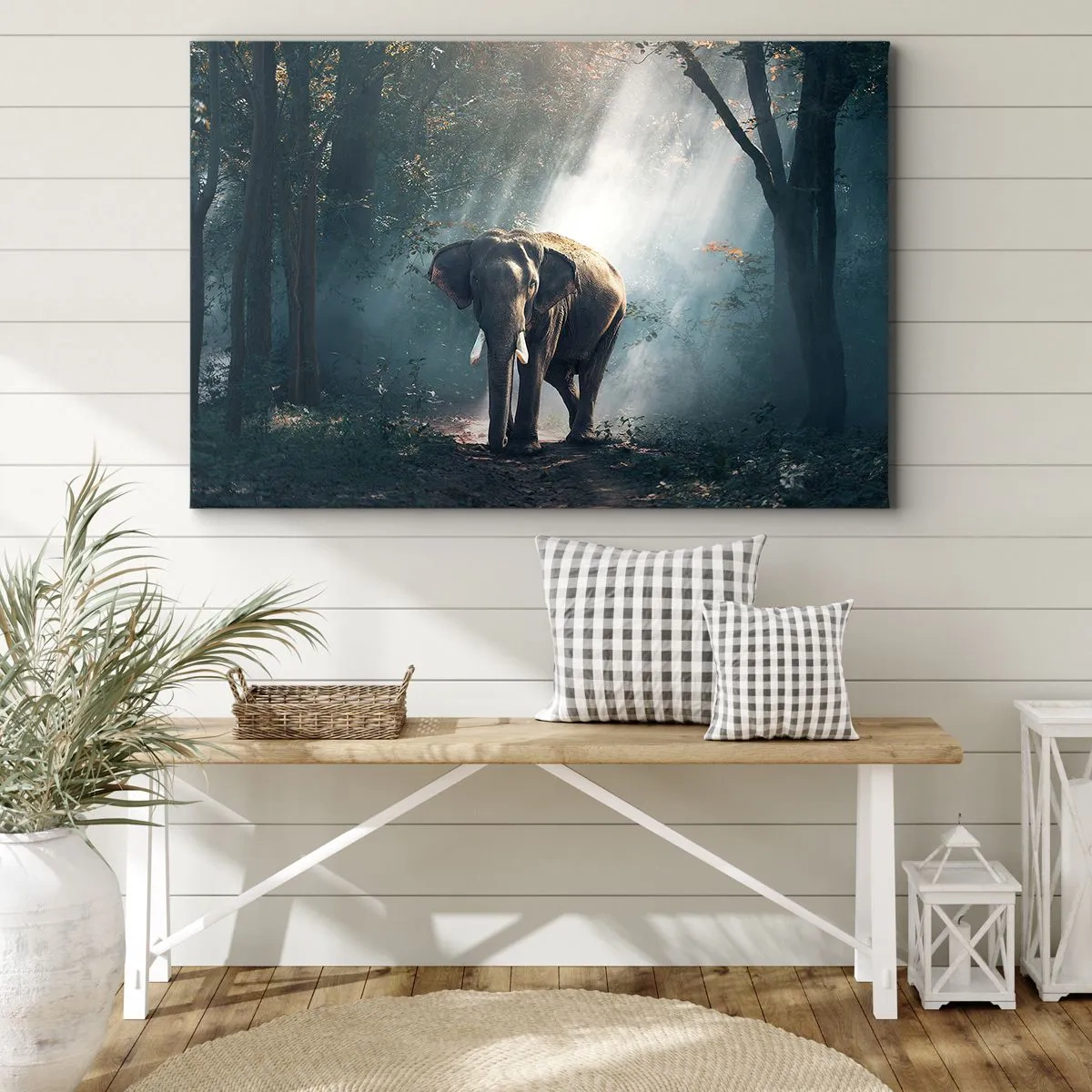 Obraz na plátně - Slon ve světle lesa - 70x50cm - Klidná procházka - Moderní nástěnná dekorace do obývacího pokoje a ložnice ARTTOR