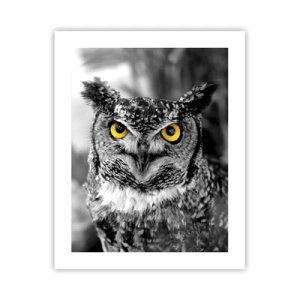 Plakát - Nic se neschová - 40x50 cm