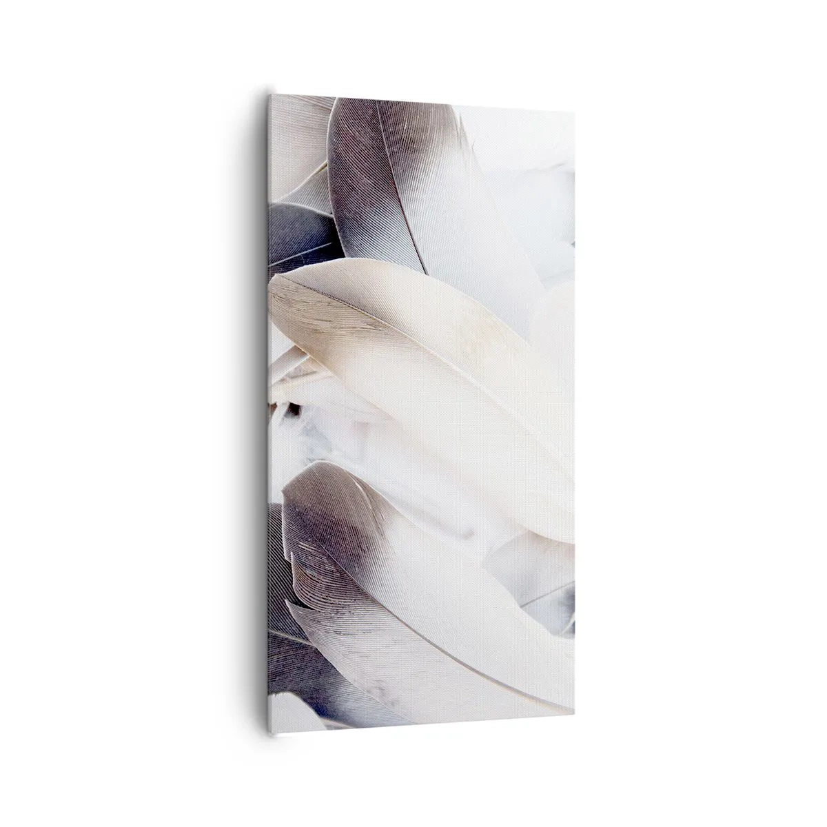 Obraz na plátně - Téměř andělské - 65x120 cm