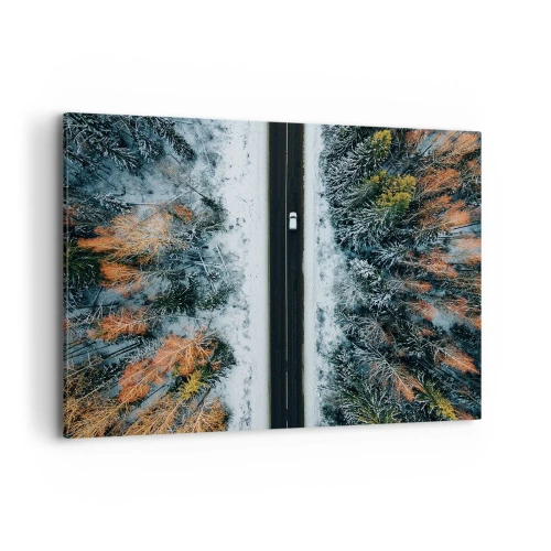 Obraz na plátně - Přes zimní les - 100x70 cm