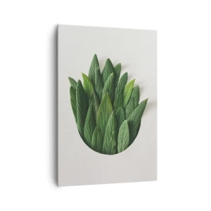 Obraz na plátně - Neukojitelná zvědavost - 70x100 cm