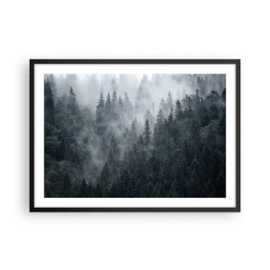 Plakát v černém rámu - Lesní svítání - 70x50 cm