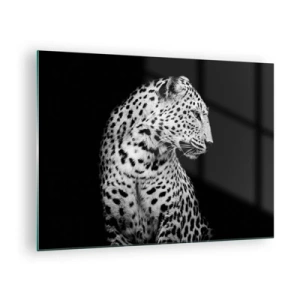 Obraz na skle - Leopard v černobílém světle proti oknu - 70x50cm - Pravý profil perfektní! - Moderní nástěnná dekorace do obývacího pokoje a ložnice ARTTOR