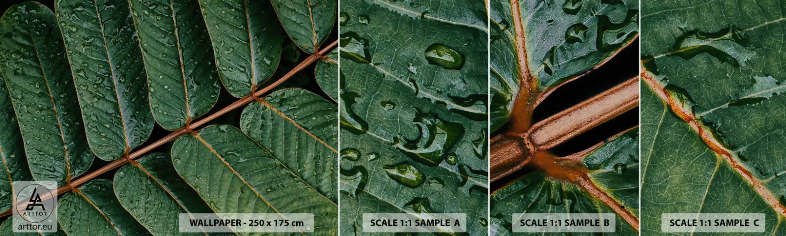 Vzor Fototapety Samolepicí Deluxe Sticker - V zeleném rytmu - Zelené listy, Tropická rostlina, Kus - 100x30 cm