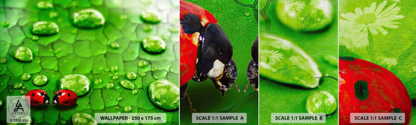 Vzor Fototapety Premium Canvas - Setkání v zeleni - Příroda, Slunéčko sedmitečné, Kapka vody - 100x30 cm