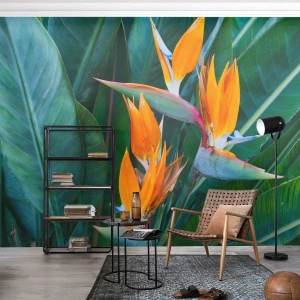 Fototapeta Premium Sand - Je to květina, nebo pták? - Královská Strelitzia, Květ, Afrika - 400x280 cm