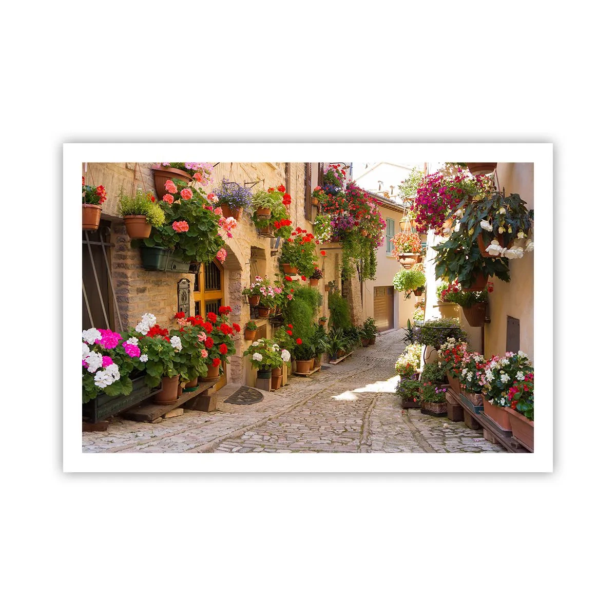 Plakát - V záplavě květin - 91x61 cm