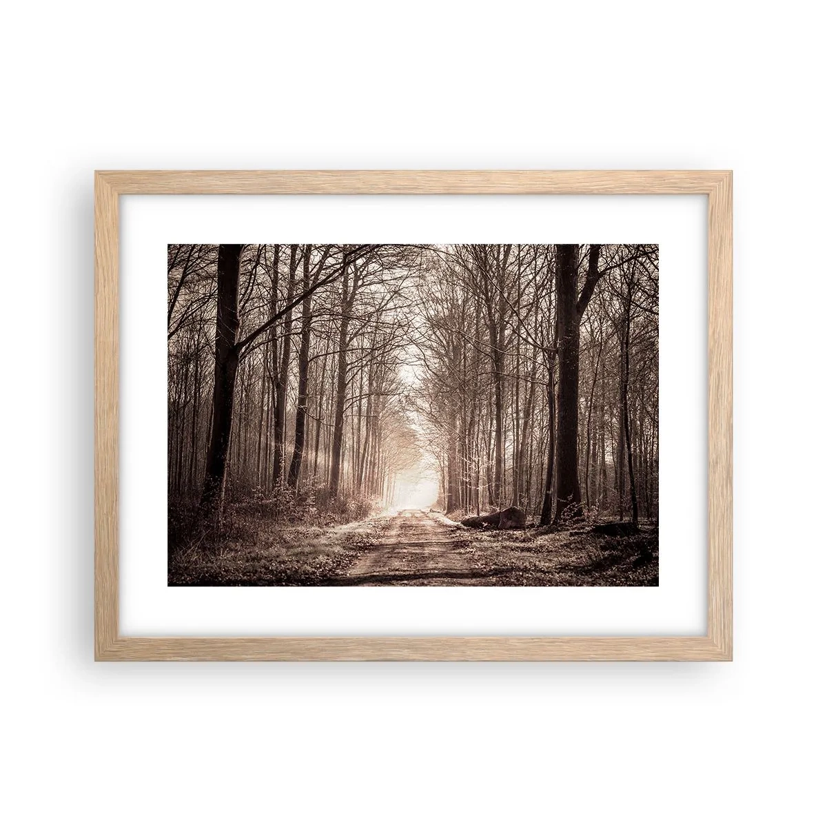 Plakát v rámu světlý dub - Lesní katedrála - 40x30 cm