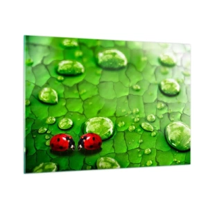 Obraz na skle - Setkání v zeleni - 100x70 cm