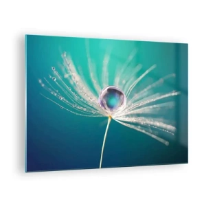 Obraz na skle - Makrofotografie semínka pampelišky s kapkou rosy na tyrkysovém pozadí - 70x50cm - Mystický okamžik - Moderní nástěnná dekorace do obývacího pokoje a ložnice ARTTOR