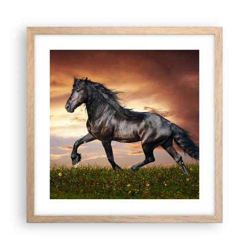 Plakát v rámu světlý dub - Černý kníže - 40x40 cm