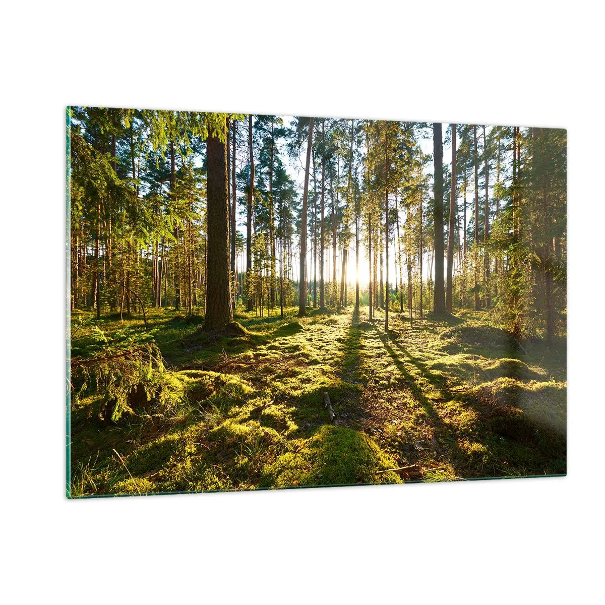 Obraz na skle - …Za sedmero lesy - 120x80 cm