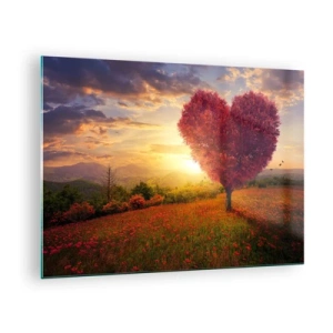 Obraz na skle - Strom ve tvaru srdce na poli při západu slunce - 70x50cm - Je to dojemné - Moderní nástěnná dekorace do obývacího pokoje a ložnice ARTTOR