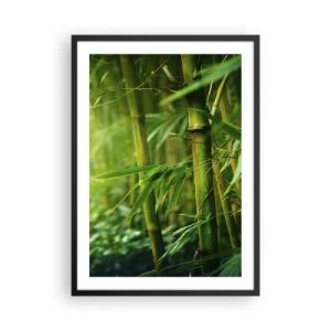 Plakát v černém rámu - Bambusový háj v odstínech zelené - 50x70cm - Poznat samotnou zeleň - Moderní nástěnná dekorace do obývacího pokoje a ložnice ARTTOR