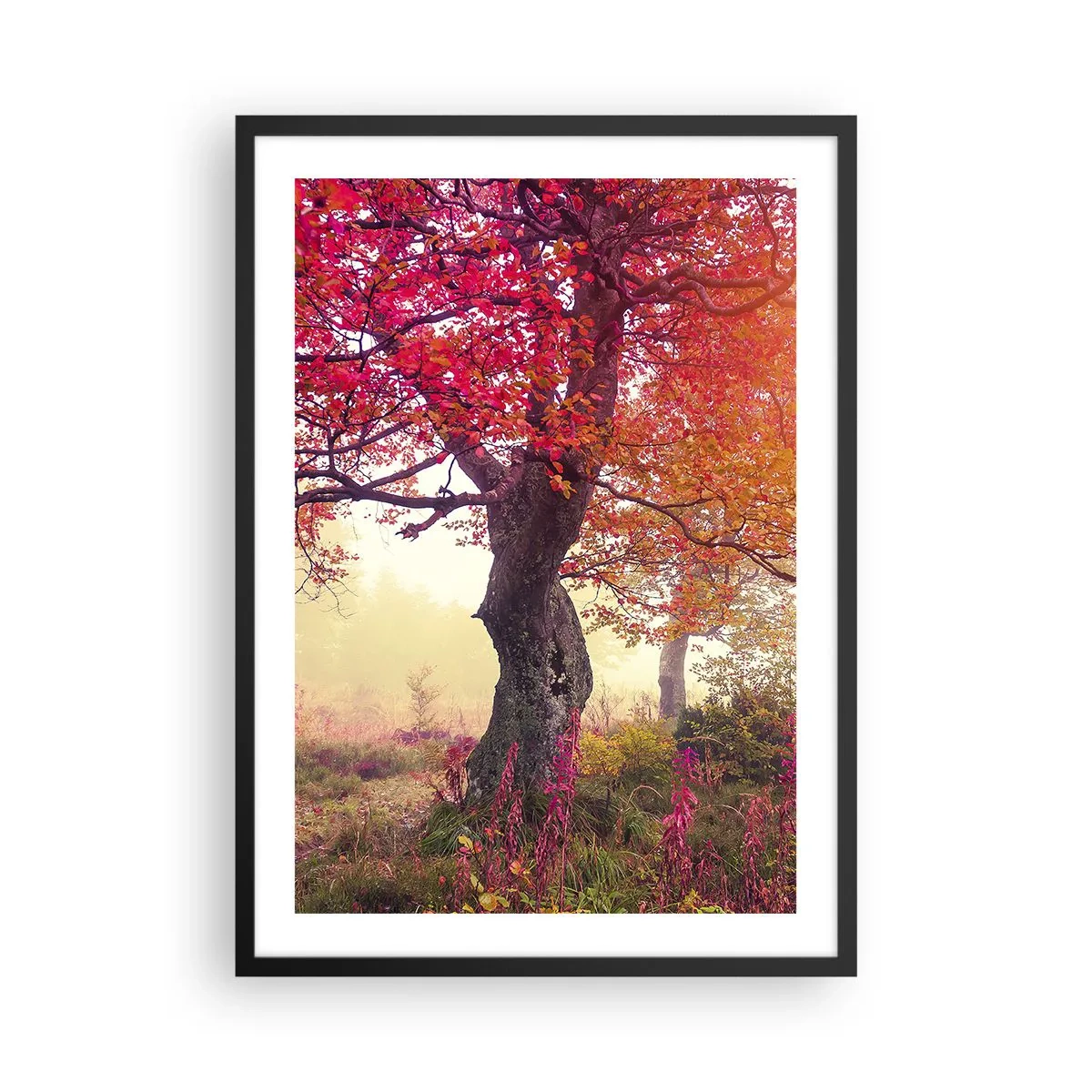 Plakát v černém rámu - Strom s červenými listy v podzimní krajině - 50x70cm - Šílenství rozkvětu - Moderní nástěnná dekorace do obývacího pokoje a ložnice ARTTOR