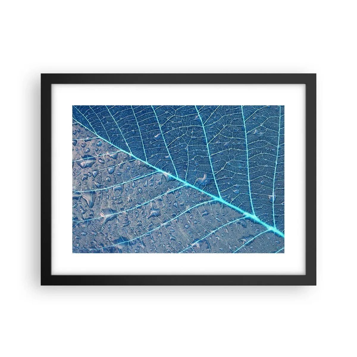 Plakát v černém rámu - Život v modři - 40x30 cm